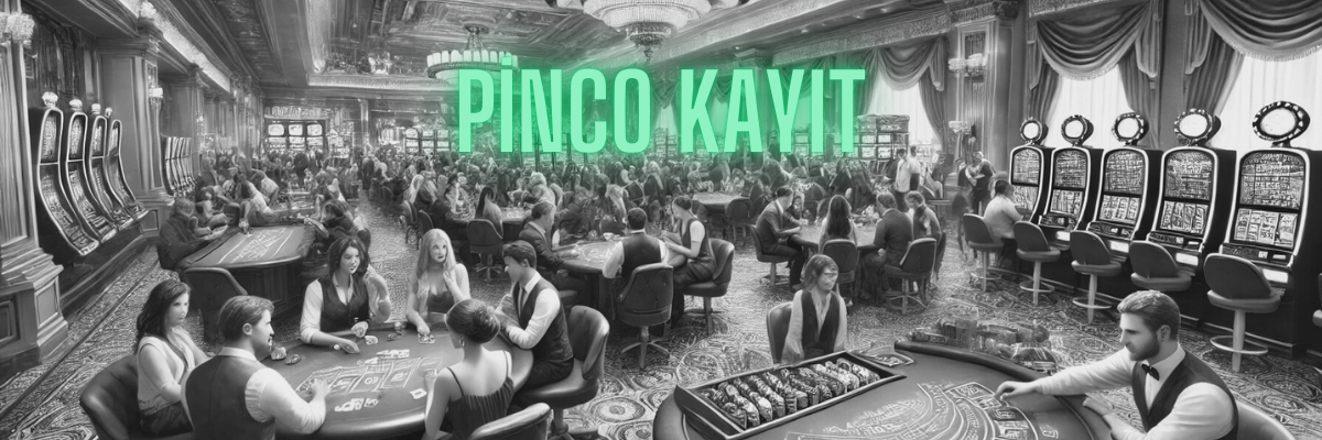 Pinco Kayıt